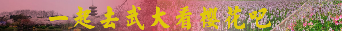 武漢櫻花